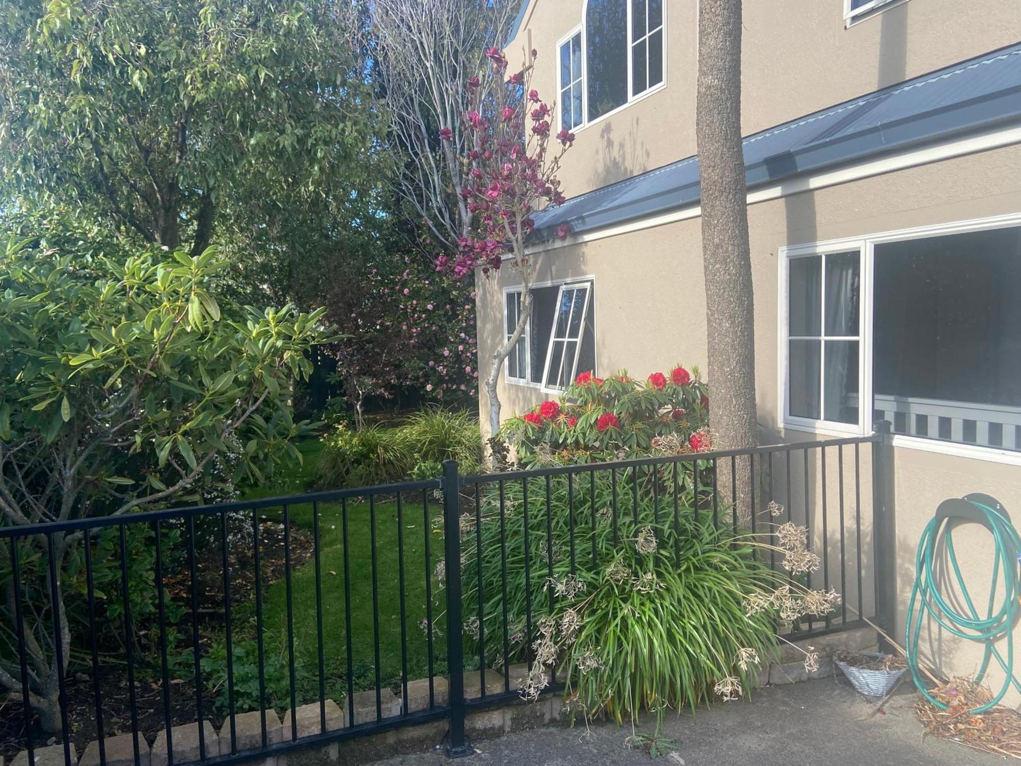 The Ground Floor Guest Suite Dunedin Exterior foto
